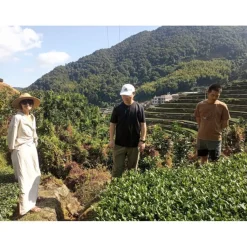 Terza Luna Tè Oolong^Ba Ya Qi Lan oolong