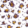 Terza Luna Erbe Officinali|Damiana In Foglie^Blue Lotus, whole flowers