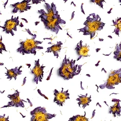 Terza Luna Fiori Eduli E Garnish^Blue Lotus, whole flowers