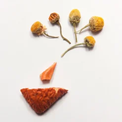 Terza Luna Tisane Alla Frutta^Camilla, the simple and good herbal tea