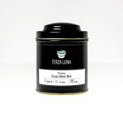 Terza Luna Tisane Alla Frutta^Cool mint bio