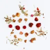 Terza Luna Tisane Alla Frutta^Crazy Fruit Organic