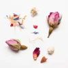 Terza Luna Tisane Alla Frutta|Fiori Eduli E Garnish^Flower garden