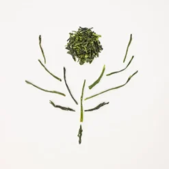 Terza Luna Tè Verde|Tè Giapponese^Fukamushi bio