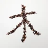 Terza Luna Tè Premium Gusto Dolce|Tè Premium Gusto Floreale^Honey Black Tea, Mr. Lo