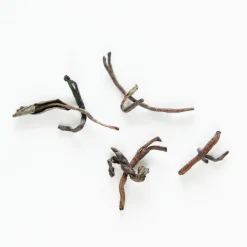 Terza Luna Tè Nero^Kawanabe Japanese organic black tea
