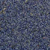 Terza Luna Erbe Officinali|Spezie^Lavender, flowers, Provence