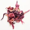 Terza Luna Tisane Alla Frutta Gusto Intenso^Organic Hibiscus