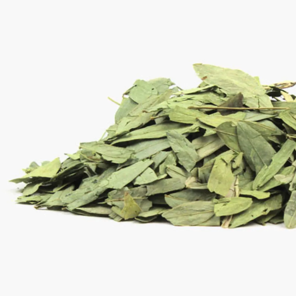 Terza Luna Erbe Officinali^Senna