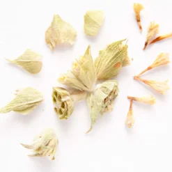 Terza Luna Erbe Officinali|Spezie Per Cocktail^Sideritis Syriaca