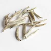 Terza Luna Tè Premium Gusto Fruttato^Yin Zhen, Yunnan